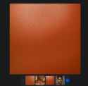 skin.jpg