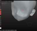 sculpt_progress1.png