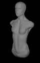 Torso_50.png