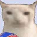1717592606708203.gif