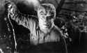 thewolfman16[1].jpg