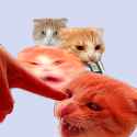 1777029316295637.png