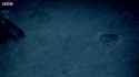 1553618062314.webm