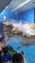 1712744287712.webm