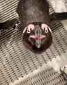 1646038278422.webm