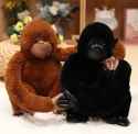 pongo and gorilla friends.jpg