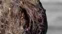 1702853400862249.webm