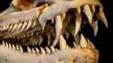 Newsflash-MonsterFish-06.jpg