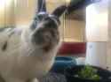 Screenshot_20240104_060004_Chrome.jpg