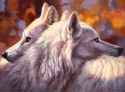 1521229738.kenket_wolves.jpg