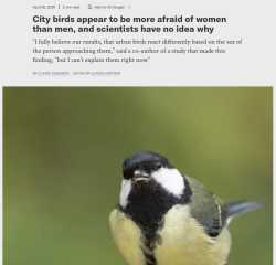 birds hate women.png
