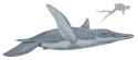 1920px-Pliosaurus_funkei21DB.jpg
