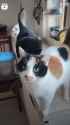 1758882593909897.webm