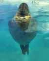 1613553616177.webm