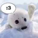 ;3 seal.jpg