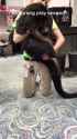 1769783646978190.webm