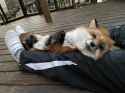 chilling_w_hoku-chan_1.jpg