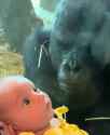 simplescreenrecorder-2026-06-09_02.25.58(1).webm