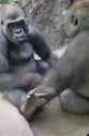 1764733049935632.webm