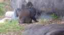 1677183005155869.webm