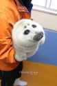 Niko Baikal seal cub.jpg
