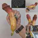 bananodong-v0-7fji05vf9xpg1.jpg