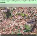 Screenshot_20260311_142059_Chrome.jpg