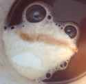 coffee frog 1446526890753.png