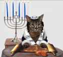 jew-cat.jpg