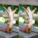 silversquirrel.jpg