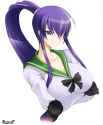 __busujima_saeko_highschool_of_the_dead_drawn_by_haganef__39f1027c0fb8d8484f2247c84b1b568b.jpg