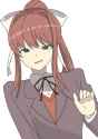 Monirecoil.png