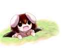 image_2026-05-05_140425331.png