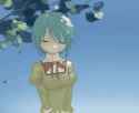 sunflower_hua1-2058739394404864215-01-HJIcjrSawAA0E1t.mp4