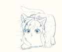 kot link.png
