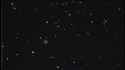 1778529835444630.webm