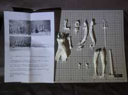 j1065304040.5.jpg