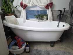 Wife's Oasis.jpg