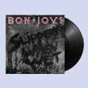 Bon-Jovi-Slippery-When-Wet-1LP[1].png