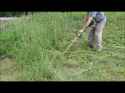 weedwhacking.jpg