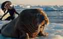 Aliens_from_the_202511030118 (1) (1).gif