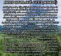 Anatolian Turkish J1a Lineage Among the Hoti Tribesmen.jpg