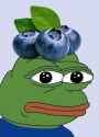 blueberry pepe.jpg