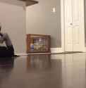 1776621010337973.webm