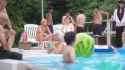 beached whale.webm