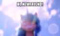 1629412437416.webm