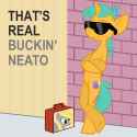 that'sreal_buckin'_neato.png