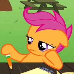 IMG_7598.gif