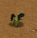 Green Filly.jpg