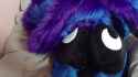 2243178.webm